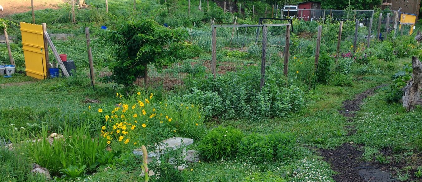 Garden Dreams and Compost Calculations