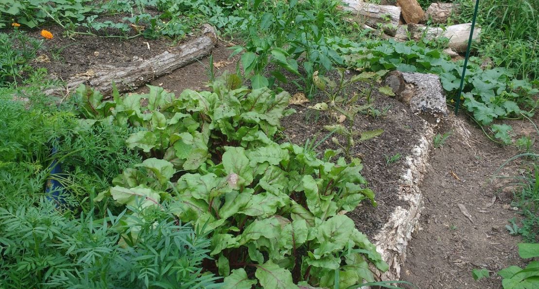 Easy Composting for Your Organic Garden
