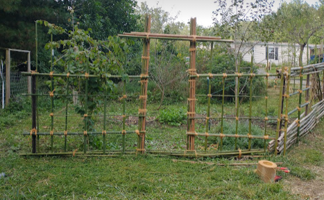 Decorative and Useful Garden Fencing