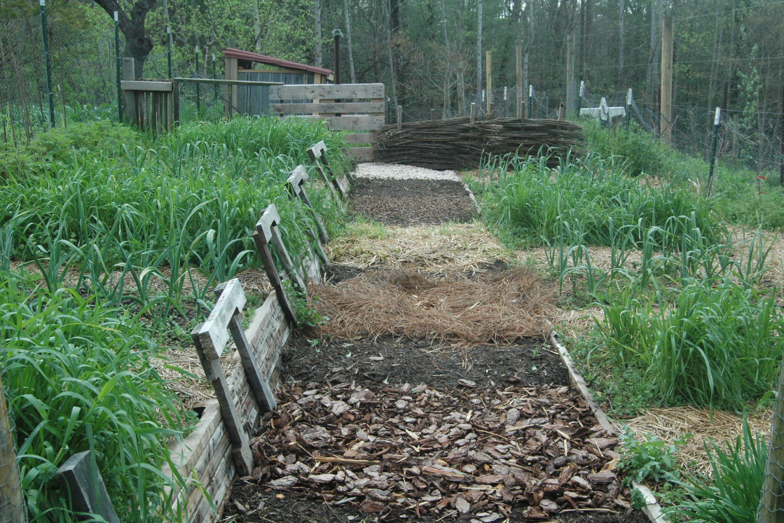 Modern Homestead Living:  A New Future Not a Romanticized Past