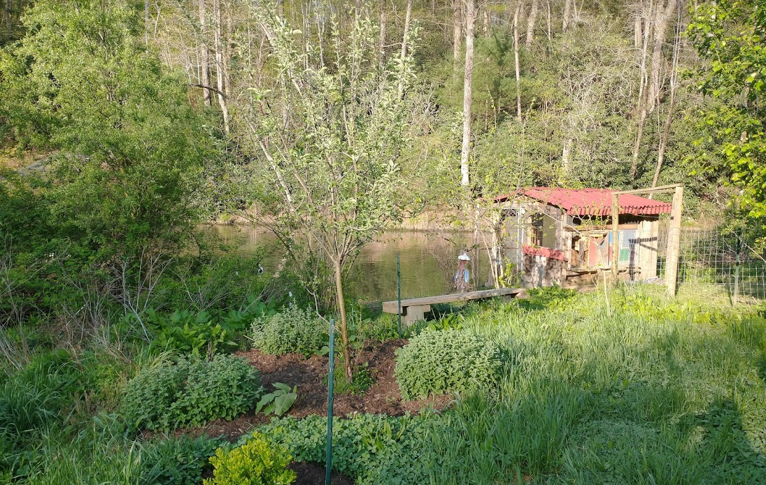 How Does Your Garden Grow?