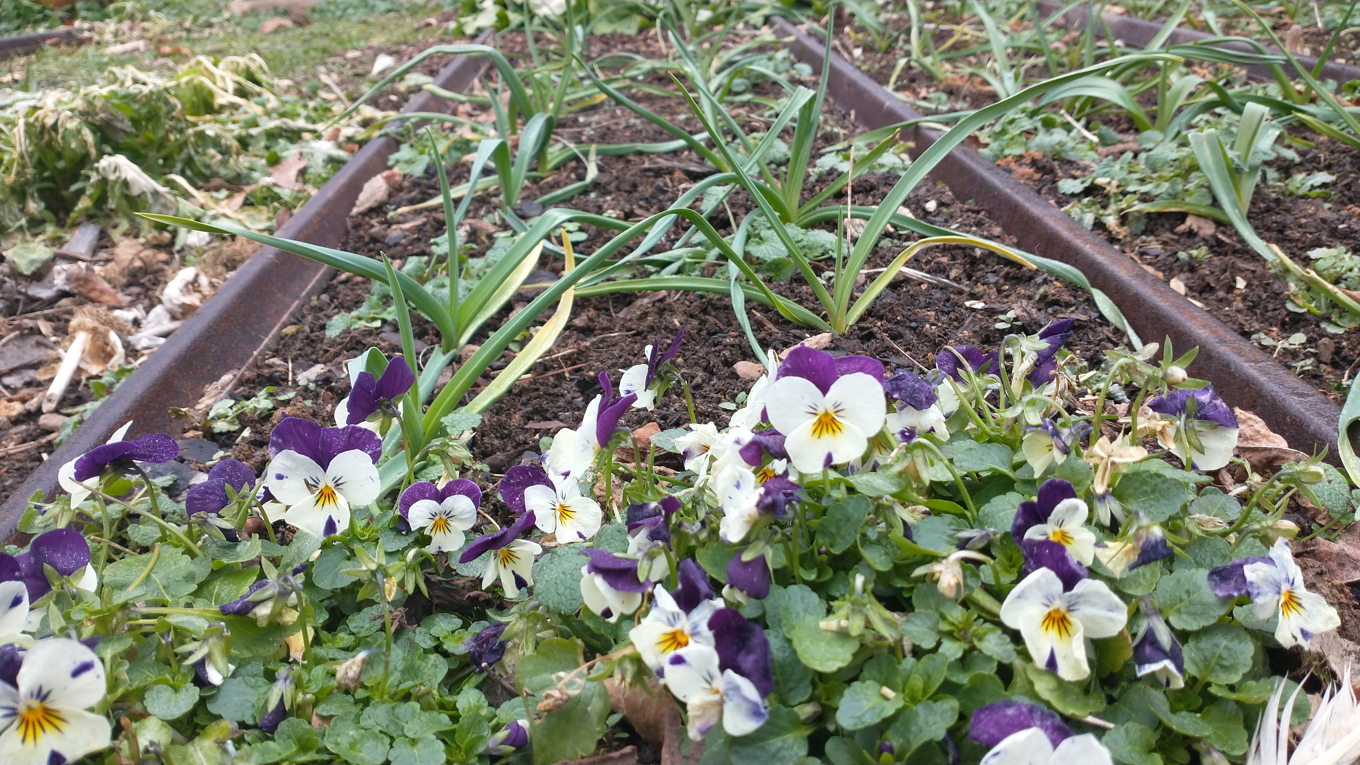 Natural Garden Planning