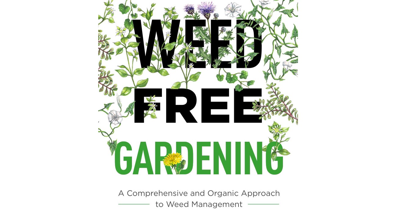 Know the #1 Cause of Weeds